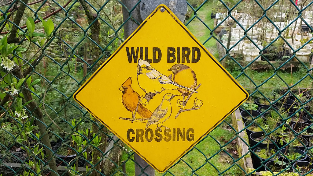 Wild Bird Crossing Sign Maplewood Flats Conservation Area … Flickr