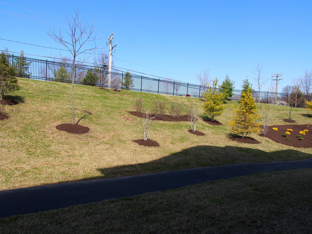 4502C Dunton Terrace Perry Hall Farms Condo For Sale Marney Kirk