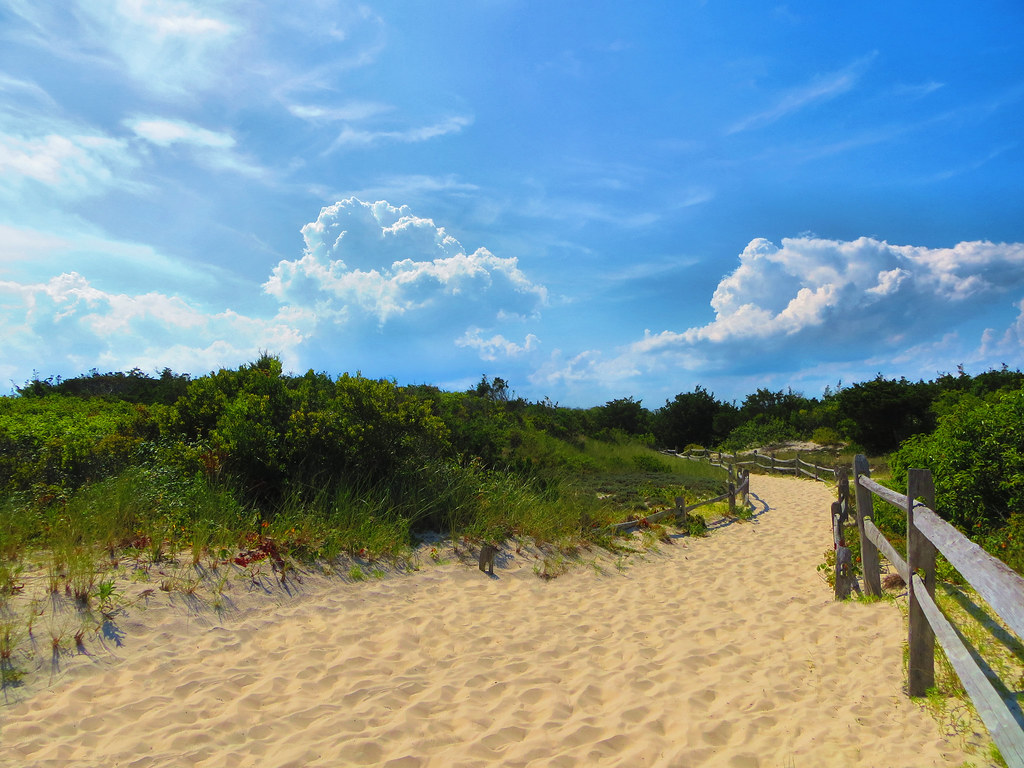 Elevation of Pine Beach, NJ, USA Topographic Map Altitude Map