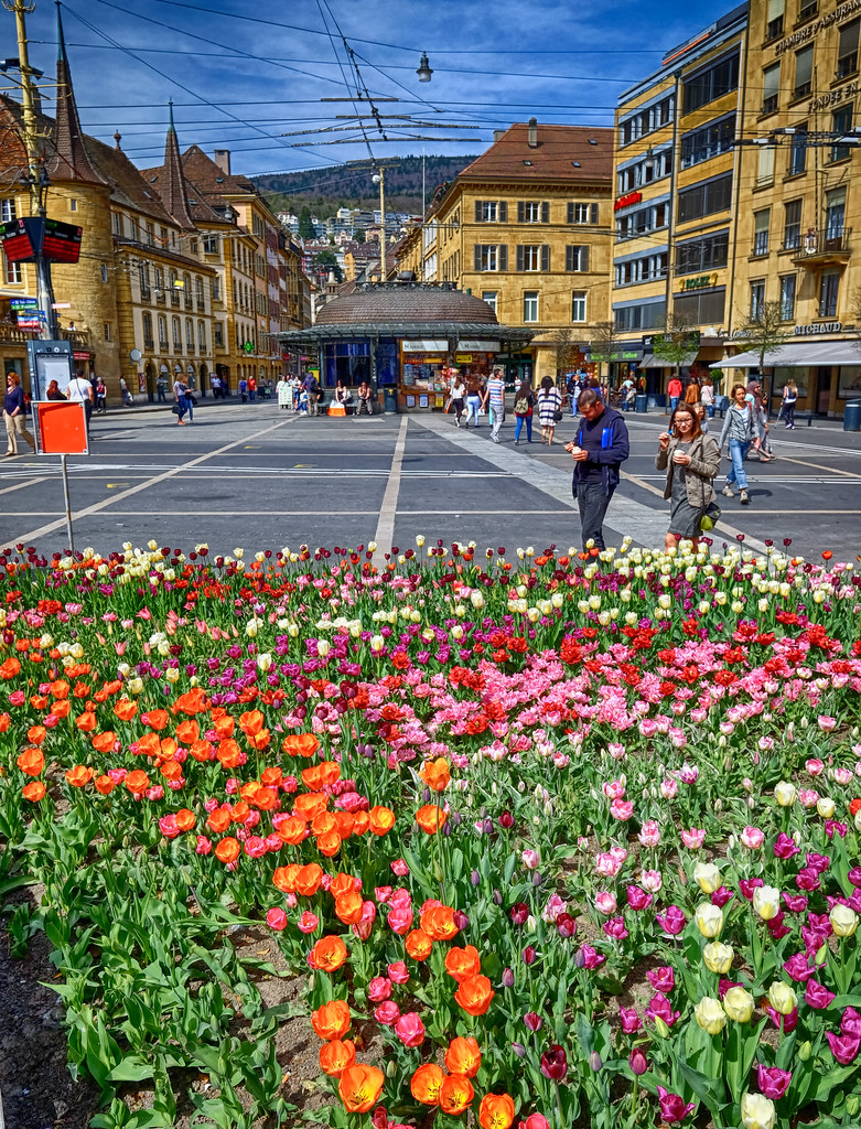 Spring Flowers at Neuchatel, Switzerland Spring is in the … Flickr