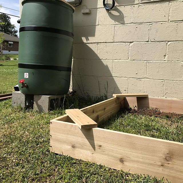 Water barrel raised bed Now I just need dirt and plant… Flickr