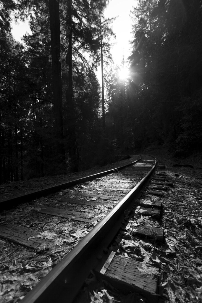 Felton, Ca In some sort of hangry state I erroneously like… Flickr