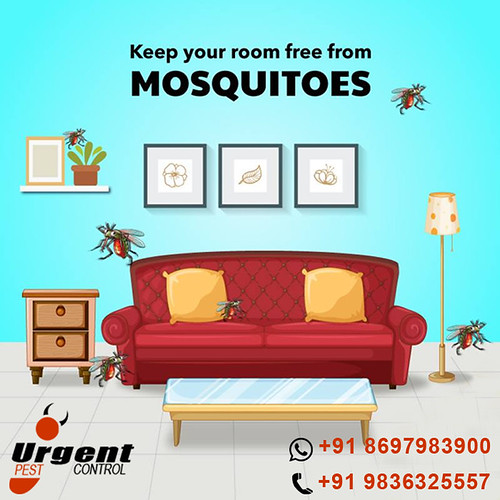 Urgent Pest Control Flickr