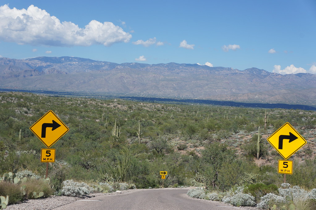Driving on East Loop Drive at Saguaro National Park, Arizo… Flickr