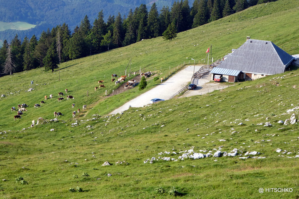 Le Suchet Chaletrestaurant d'alpage du Suchet Bienvenue … Flickr