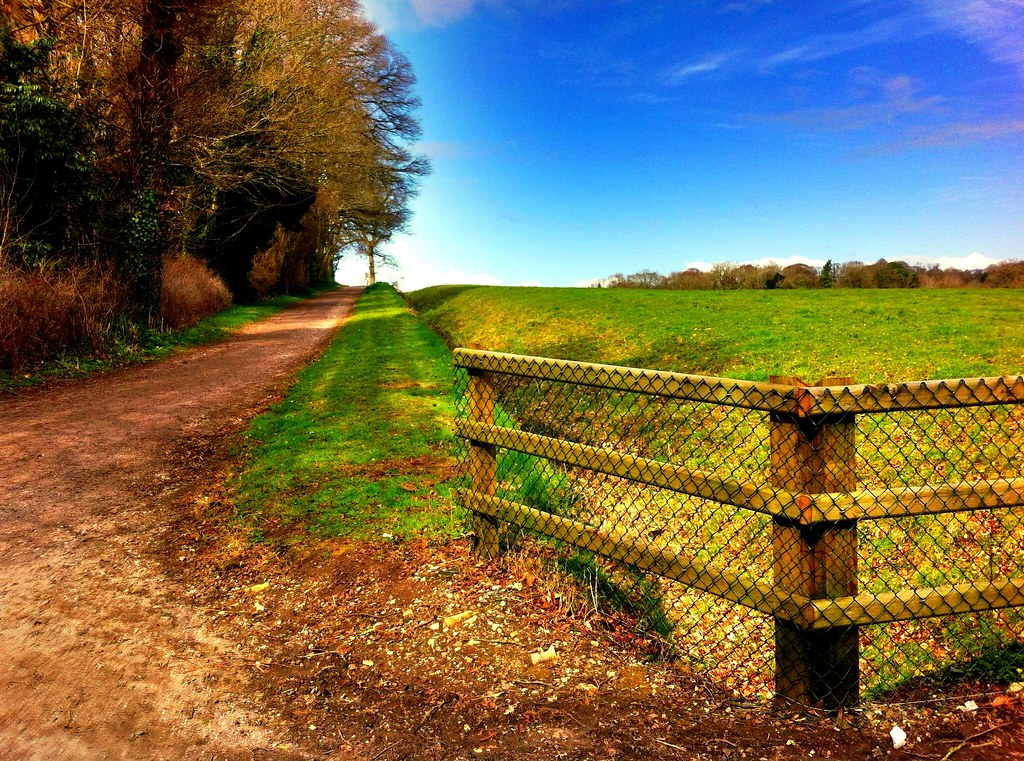 Haha A haha is a recessed landscape design element that â€¦ Flickr
