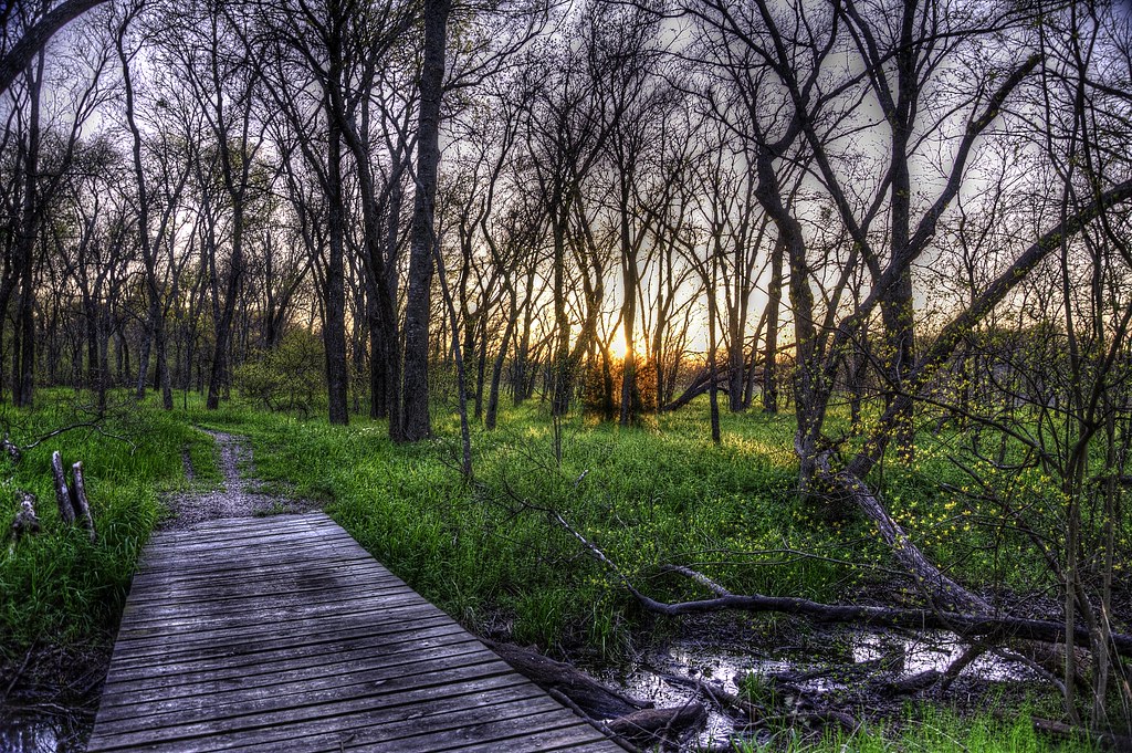 Trail Bridge Bardwell Lake Nature Preserve, Texas. James Nelms Flickr