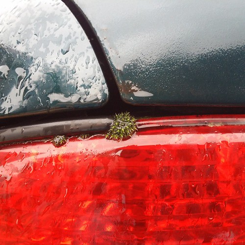 Environmental friendly car!! Moss growing on the tail ligh… Flickr