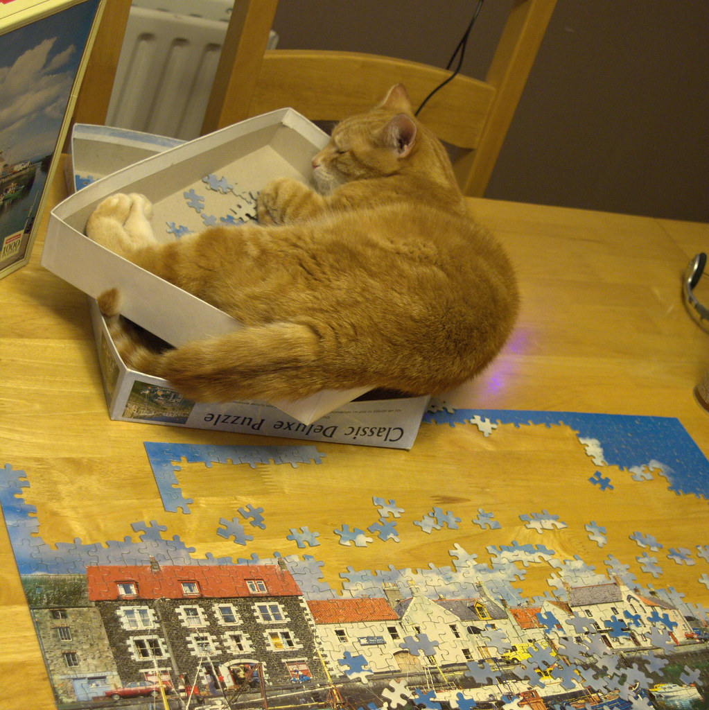Stroppy cat stops jigsaw fun... Ginger, feeling left out, … Flickr