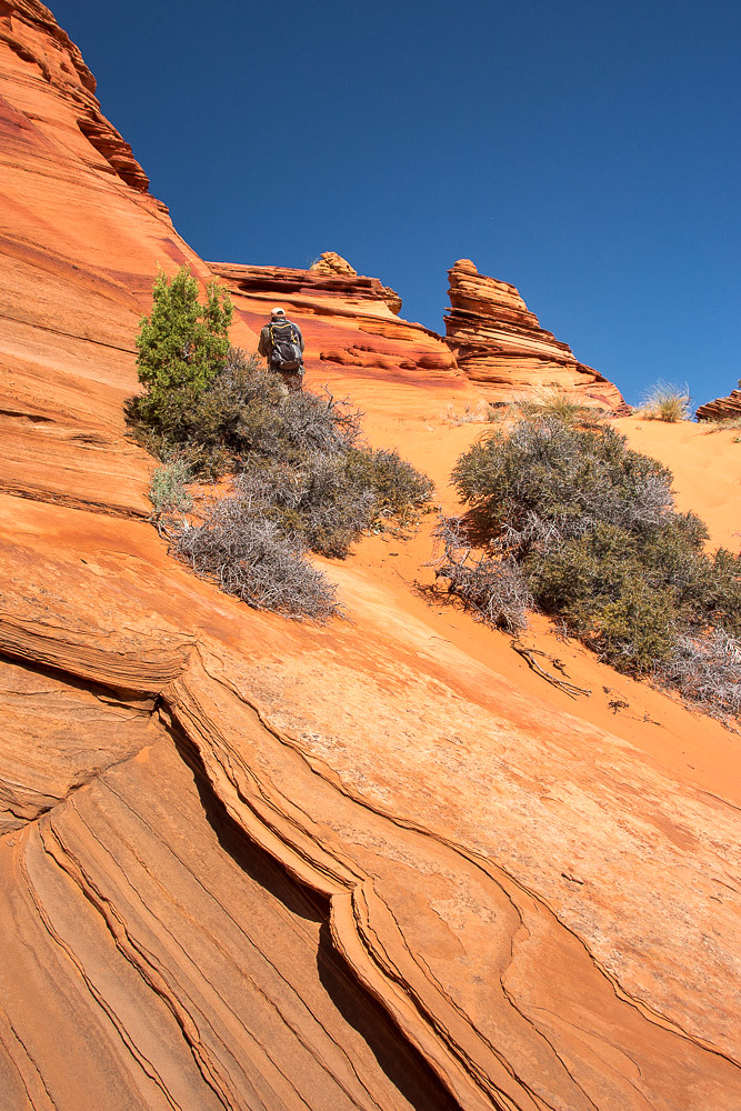 RDB_150414_029.jpg Richard Baxter Flickr