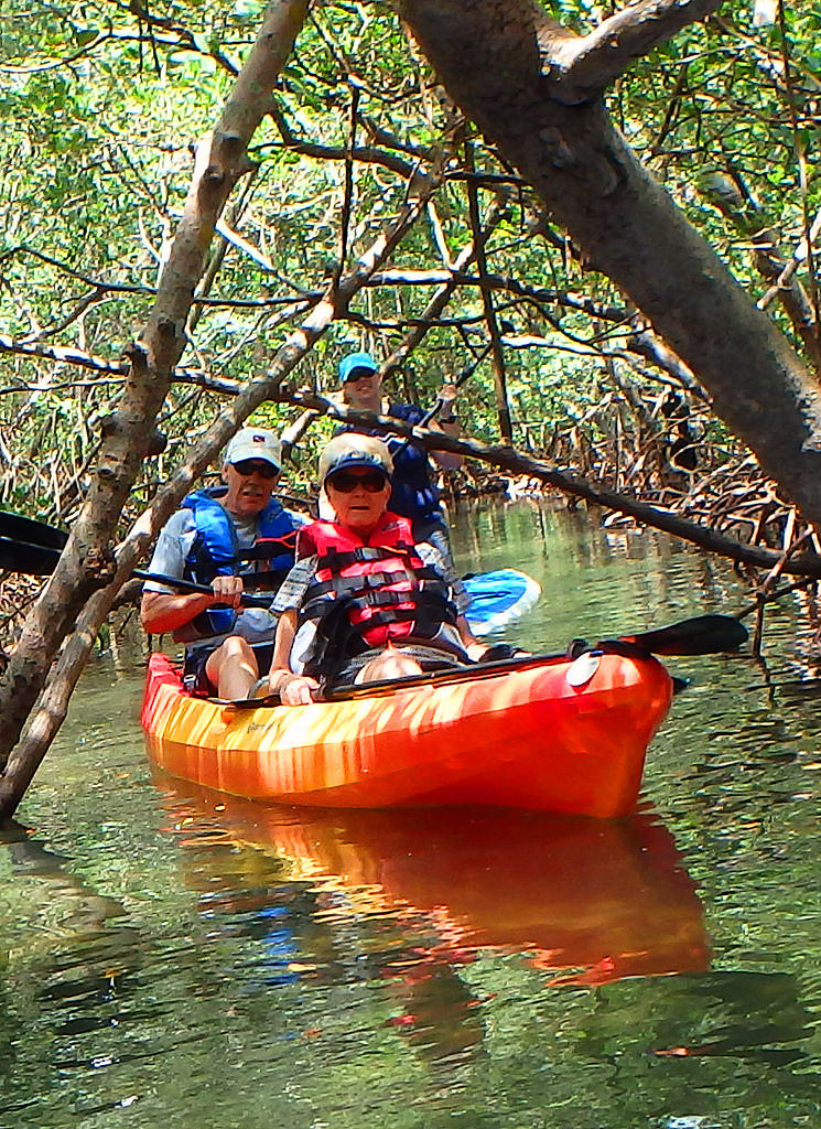 Private tour at The Lido Mangrove Tunnels 5415 SURFit USA SUP and