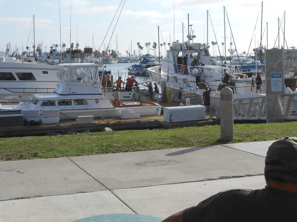 Seaforth Landing A great new place for the Apollo