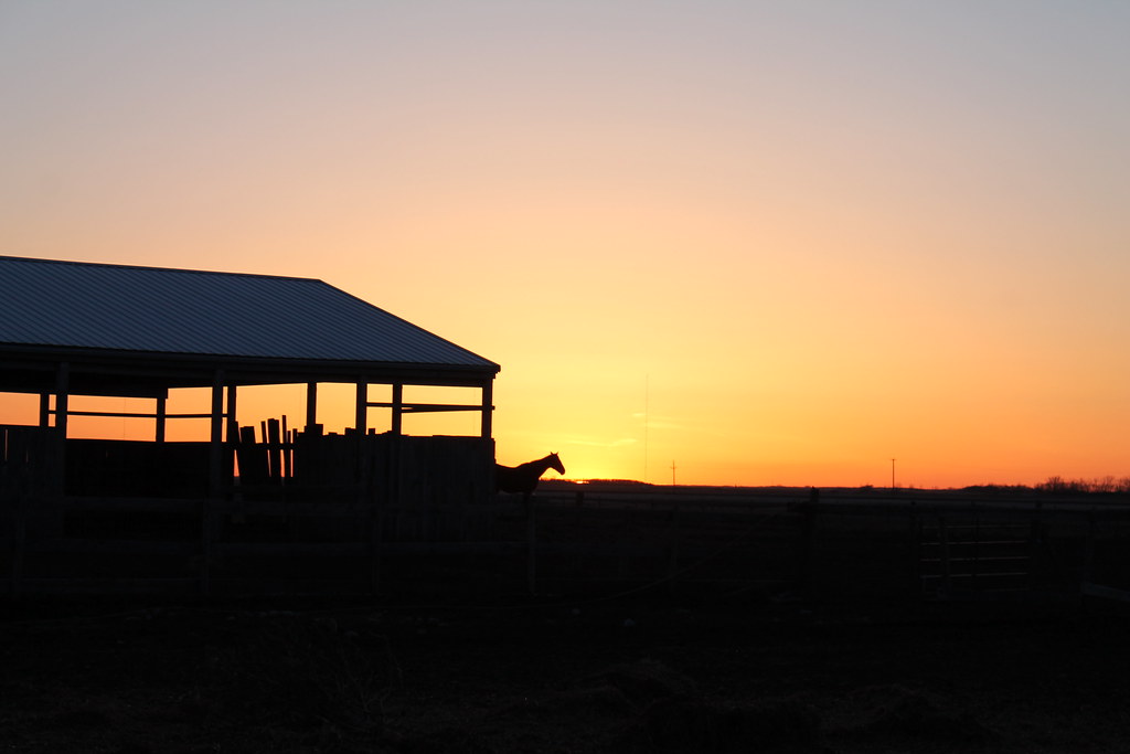 Aurora Farms, outside Winnipeg on Energy East pipeline pat… Flickr