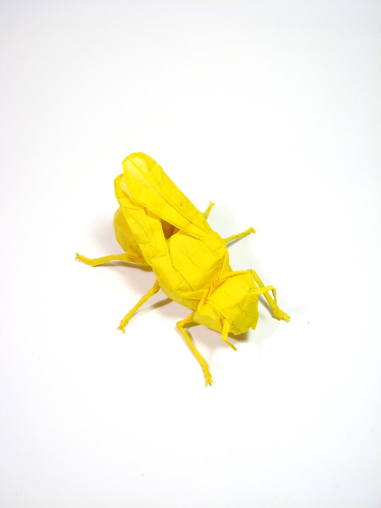 Origami Yellow Jacket Origami Yellow Jacket designed by Ro… Flickr