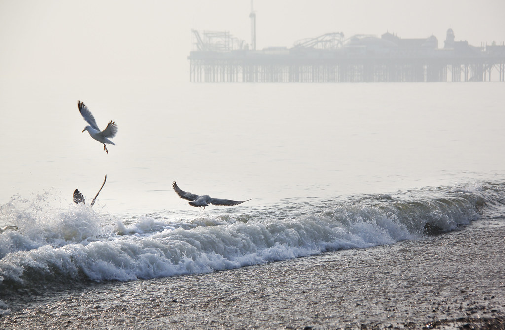 Brighton Beach Kotomi_ Flickr