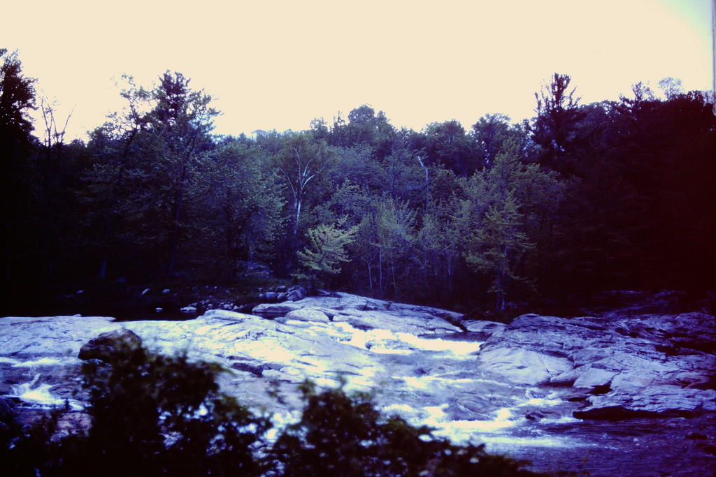 Au Sable Creek Adirondacks, NY My beautiful picture Jeff