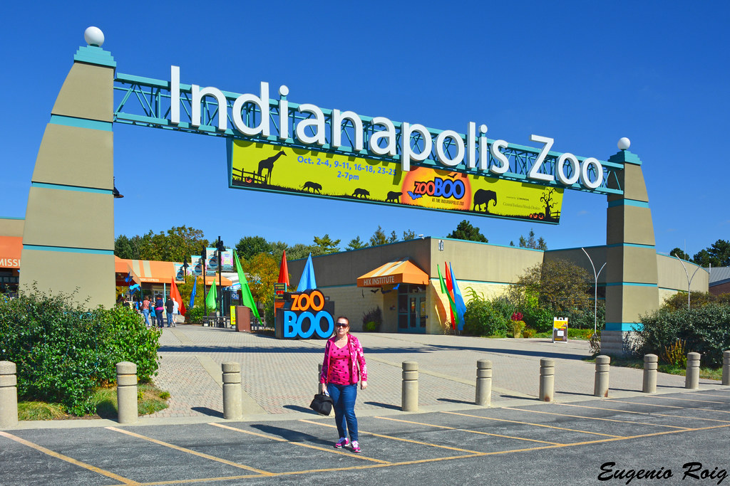 Indianapolis Zoo, Indiana Located downtown in White River … Flickr