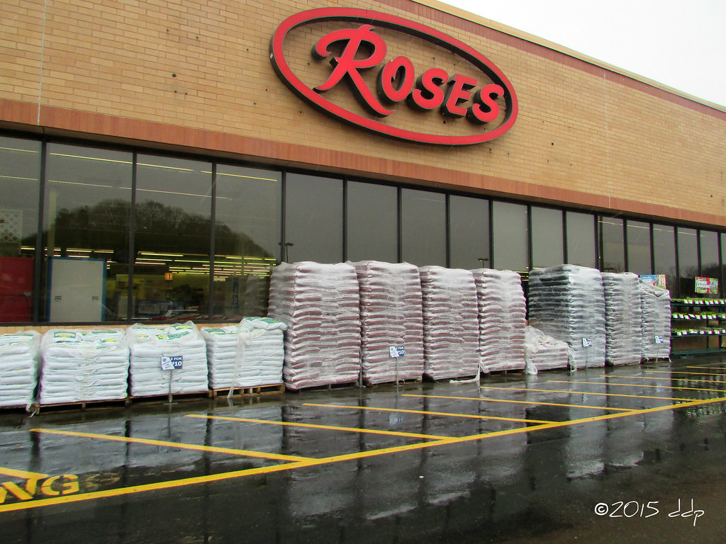 Roses Mount Airy, North Carolina Jamie Middleton Flickr