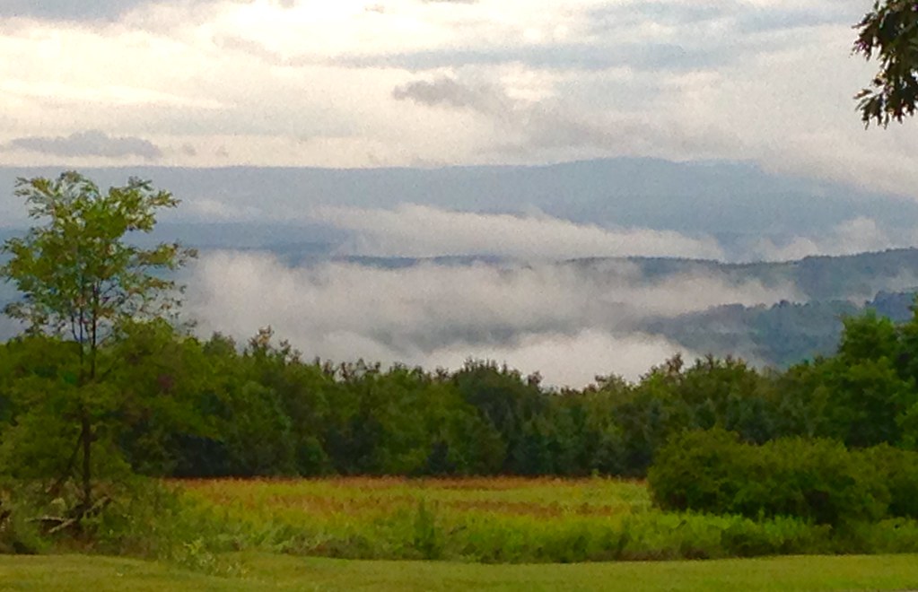 Elevation of Frankstown Rd, Portage, PA, USA Topographic Map