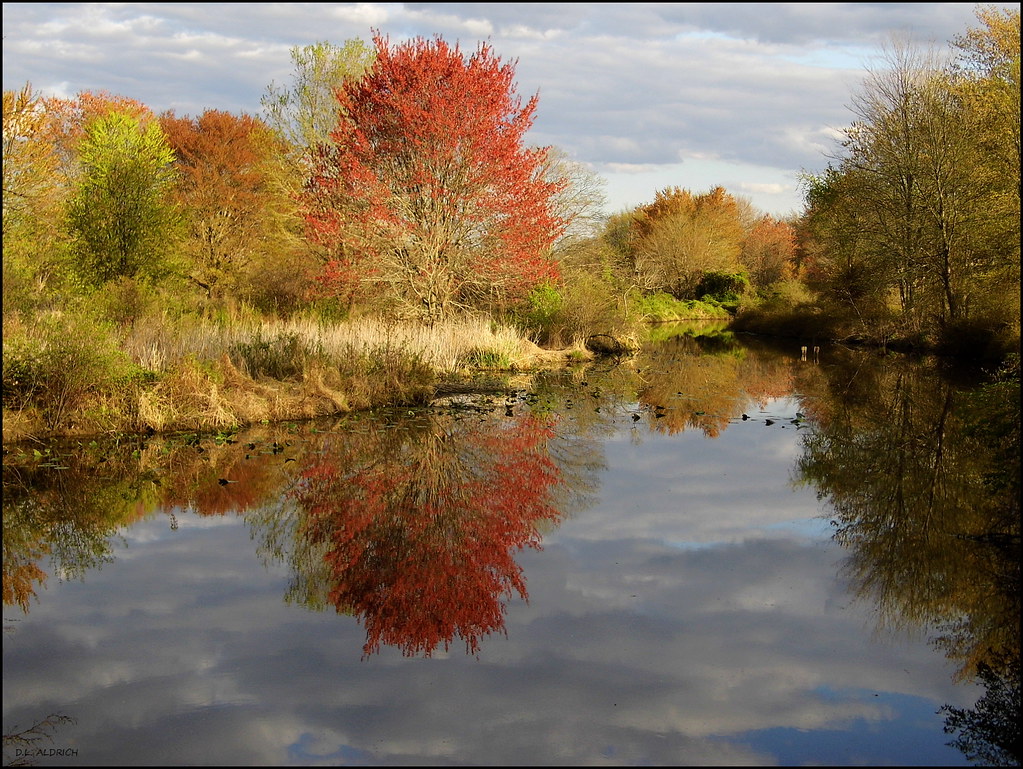 Spring at Greenwich Lake Gibbstown, New Jersey Flickr