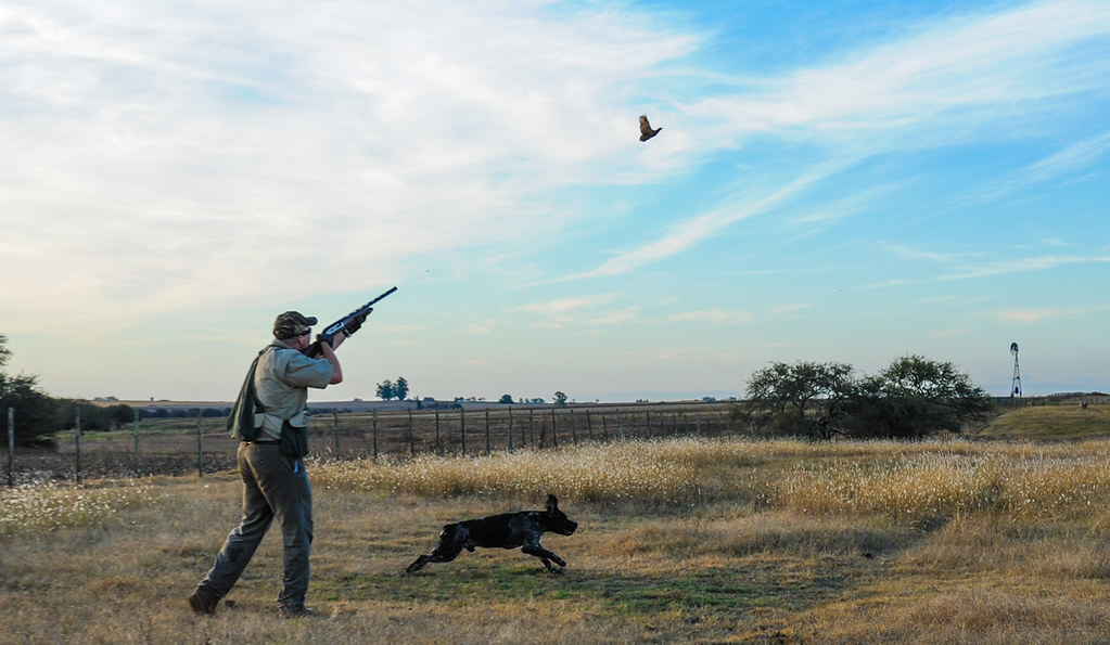 Uruguay bird hunting Antlers and Anglers Worldwide, LLC