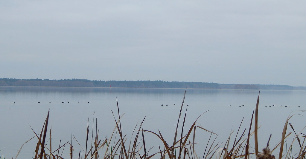ps2d View across the lake at the wild life refuge Jerry Spearman