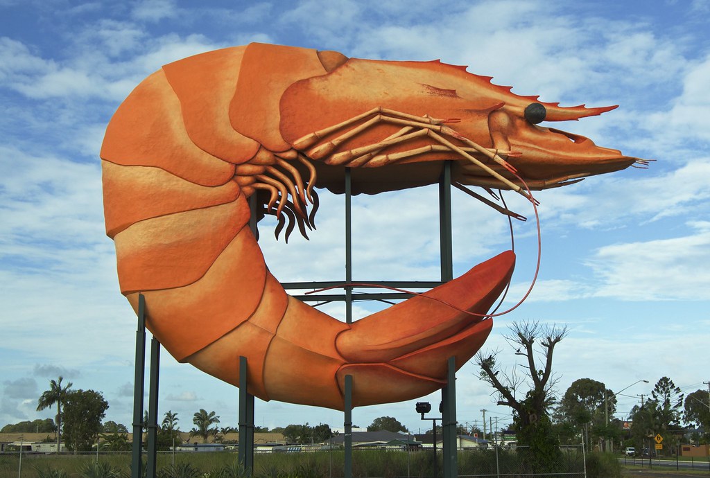 The big prawn Ballina is home to the world's largest prawn… Flickr