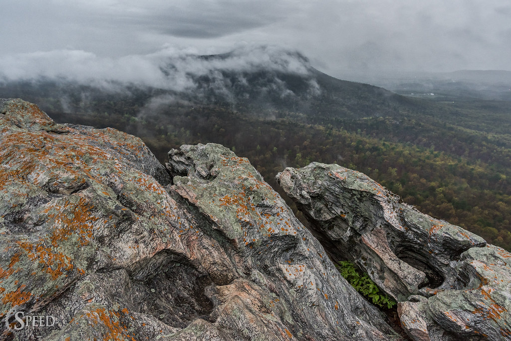 Elevation of NC E, Lawsonville, NC, USA Topographic Map Altitude Map