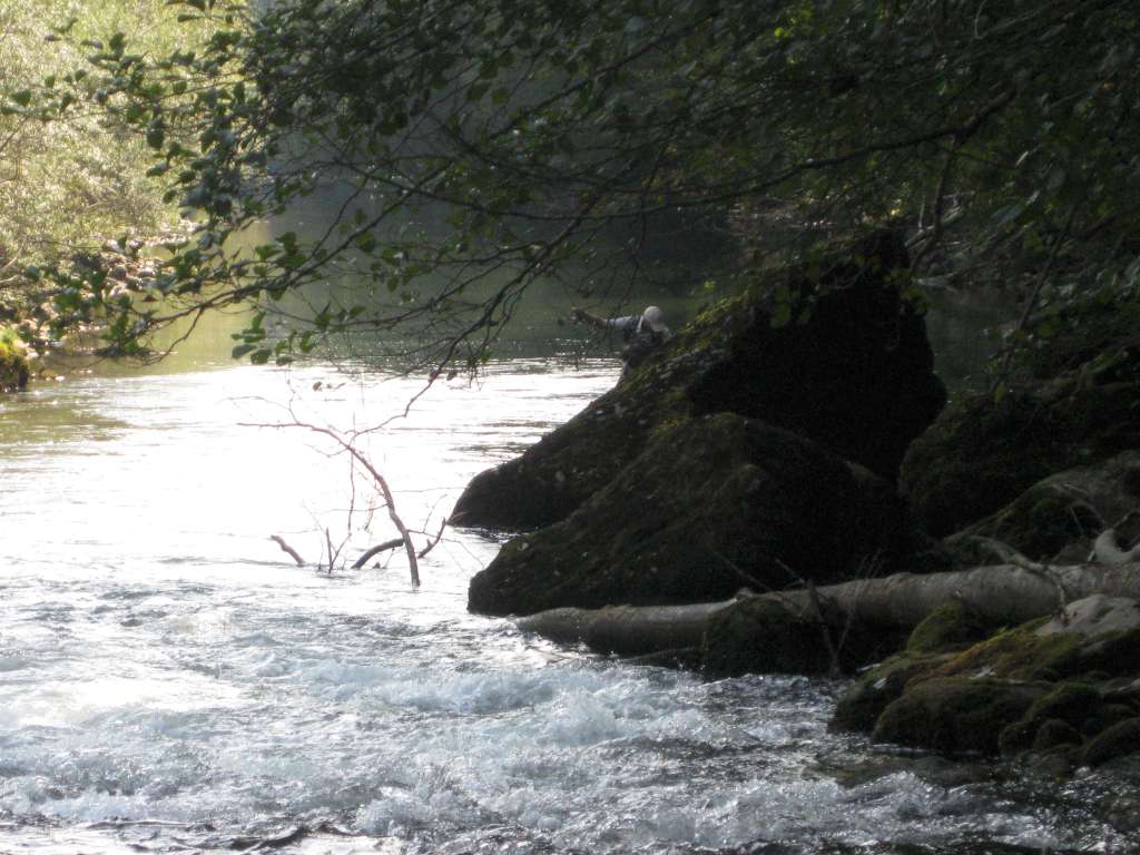 KupaSett2016 (48) Fly Casting Club Verona Flickr