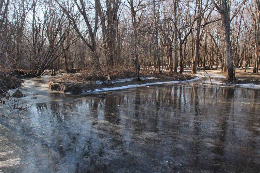 Bagley, Wi Frozen Trees in Wisconsin River backwater Flickr