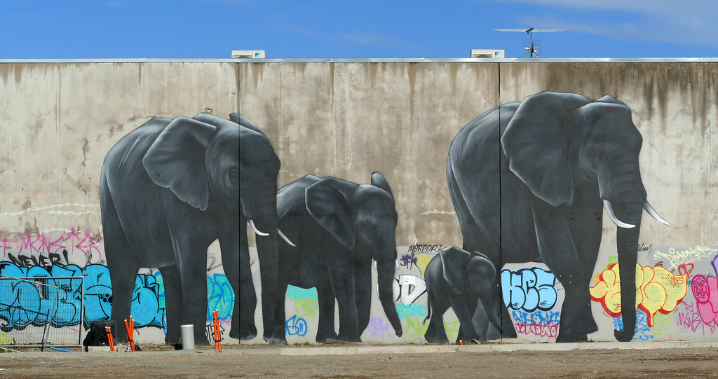 The "urban jungle" Christchurch NZ This mural of elephants… Flickr