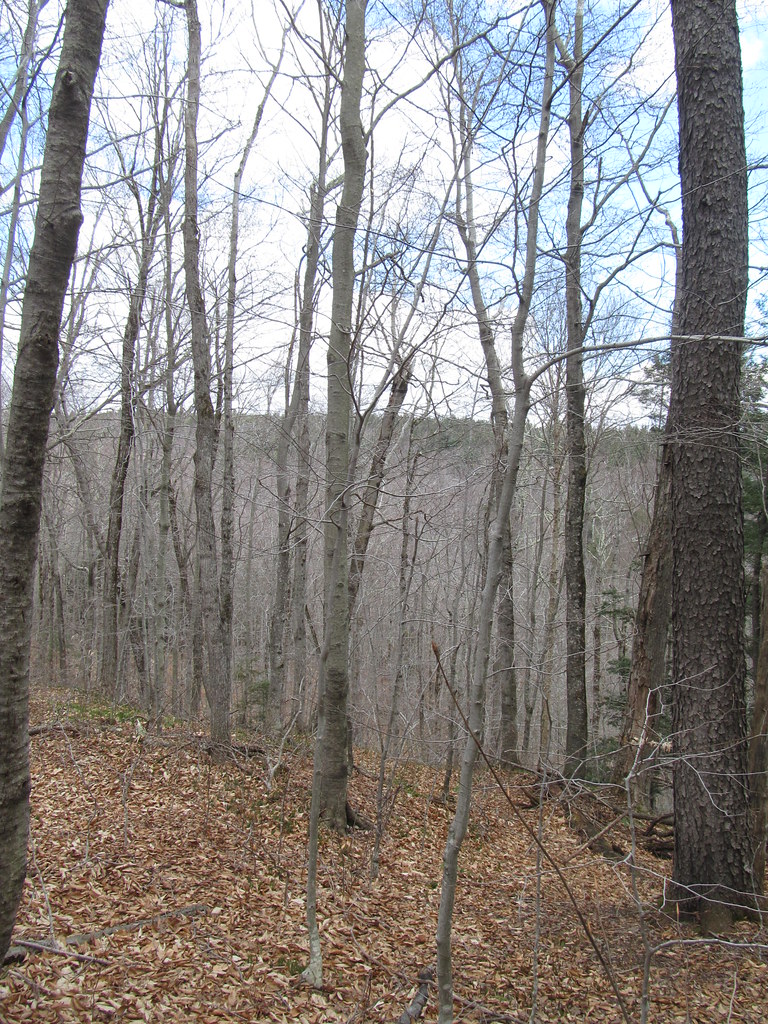 Savoy Mountain State Forest Savoy, Massachusetts Flickr