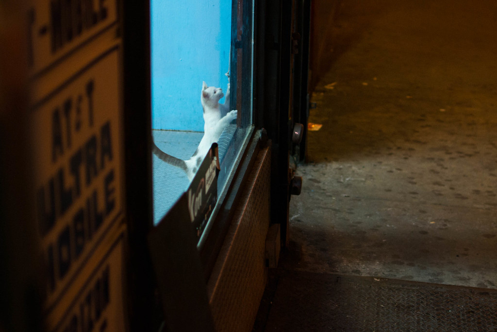 DSC_0074 quill depot Flickr