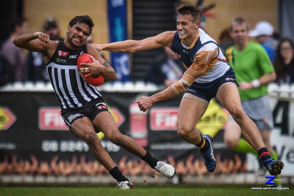 ASP_2016SANFL18235.jpg A Port Adelaide Magpies player evad… Flickr