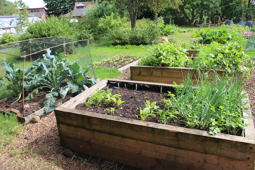 High raised beds in organic vegetable garden Please credit… Flickr