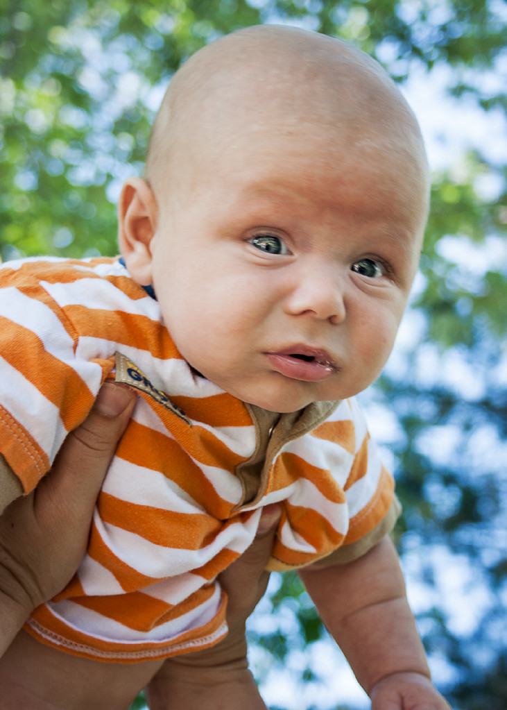 Grandson 2 Van Buren Point, NY Bill Flickr