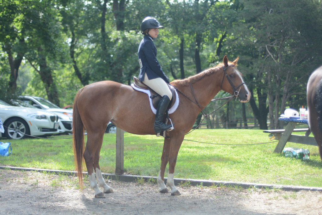DSC_0009 Dapper Dan Farm Horse Show Rhode Island 0717201… Appy