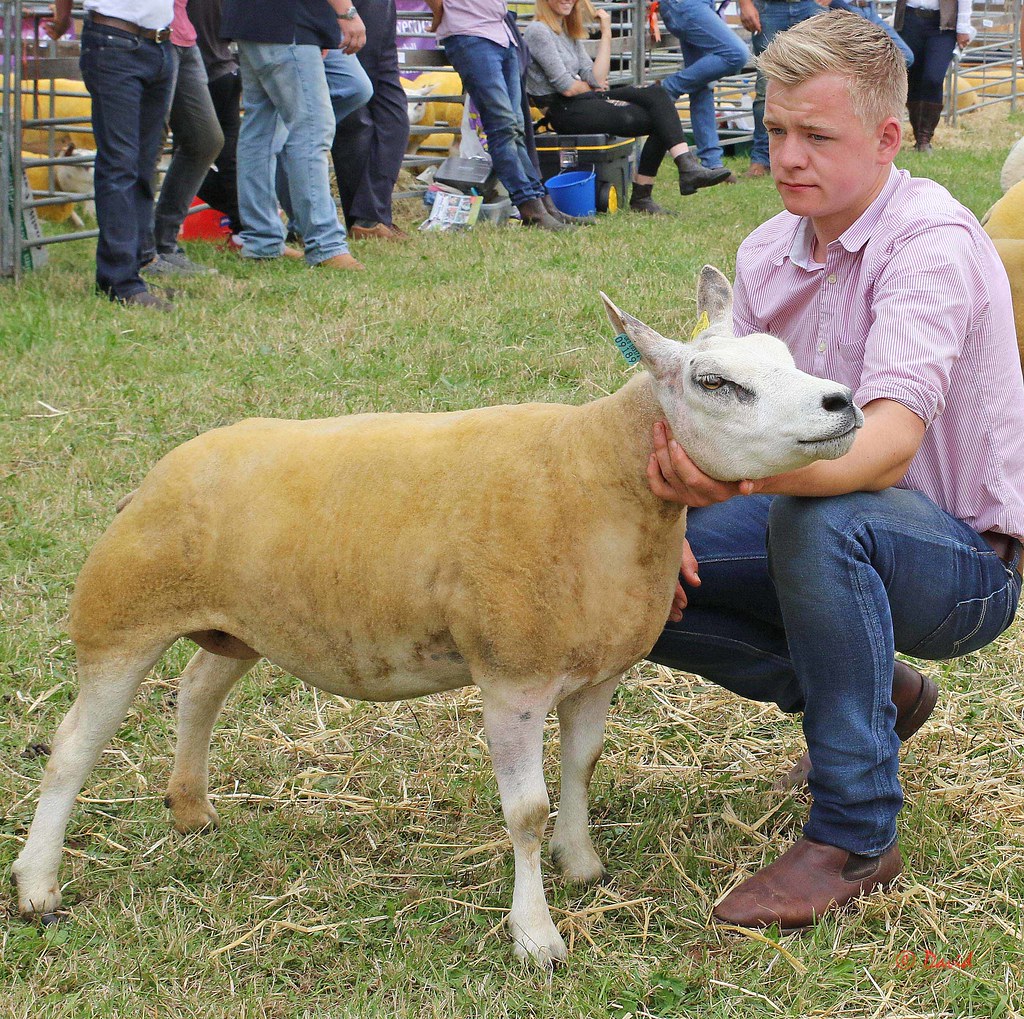 Penrith Show 2016 The Penrith Agricultural Society held th… Flickr