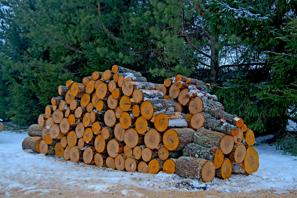 Firewood Moscow region Garrison Flickr