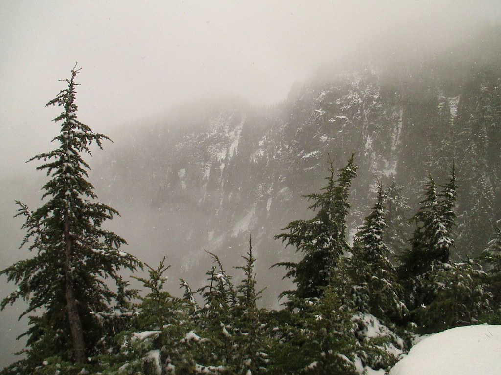 Perry Creek Trail/Mount Meadows 22 March 2015 Flickr