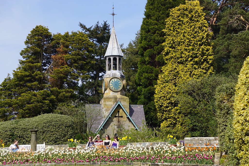 Tulips the Formal Gardens Cragside, Rothbury, Northumb… Flickr