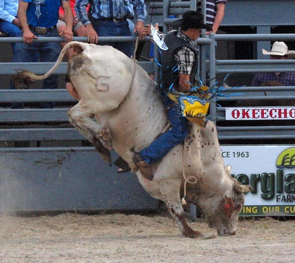 245 OKEECHOBEE, FLORIDA LABOR DAY WEEKEND PRO RODEO, 2014 Flickr