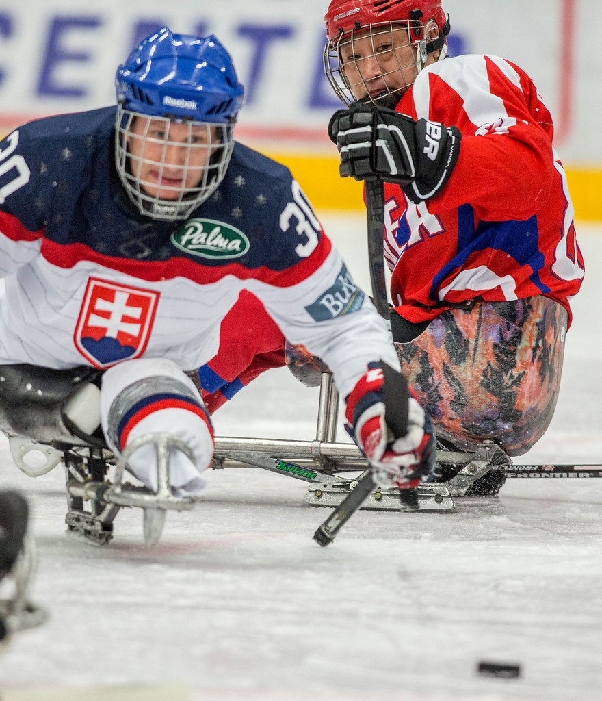 IPC Ice Sledge Hockey World Championships 2015 BPool_261 Flickr