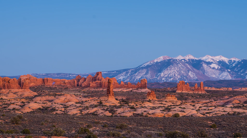 La Sal mountain at arches Took a nice perch on a 40 foot h… Flickr
