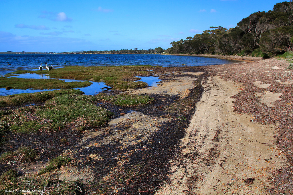Shores of Eastern Cove at American River, Kangaroo Island,… Flickr