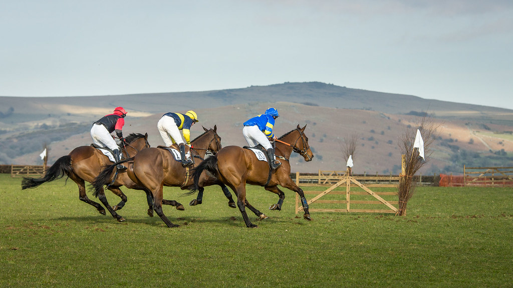 Kilworthy Point to Point Simon Pither Flickr