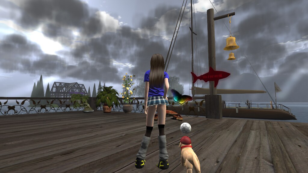 Untitled Visit this location at Eagles Nest Park in Second… Flickr