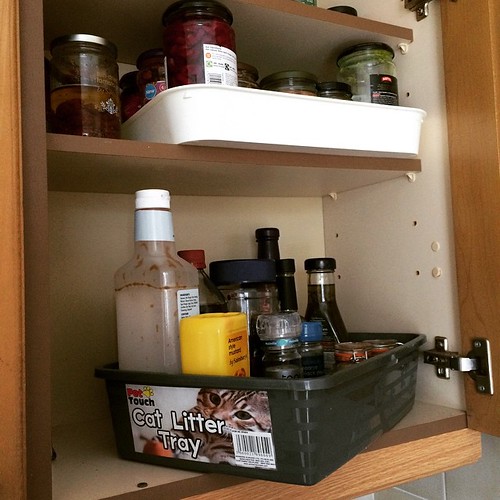 I am the girl using cat litter trays to organise the cupbo… Flickr