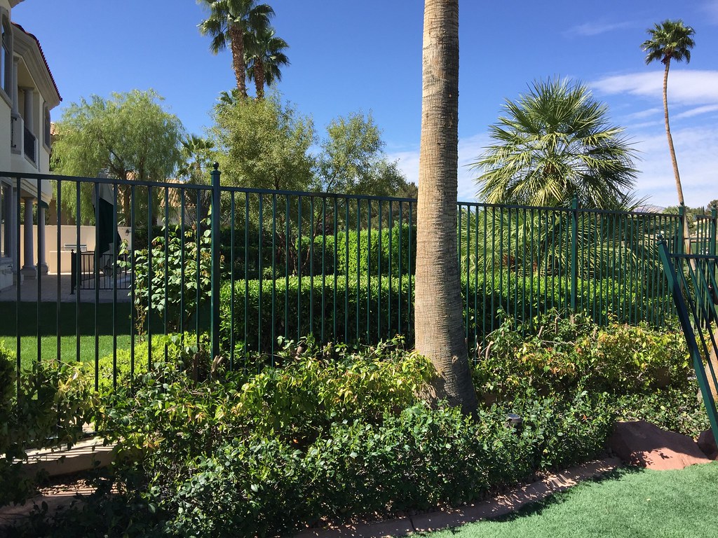 Pool Fence AR Iron Gates and Fencing