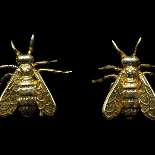 Jocelyn Burton Flickr